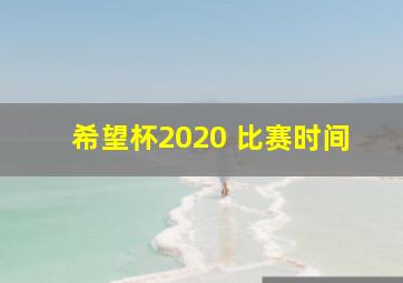 希望杯2020 比赛时间